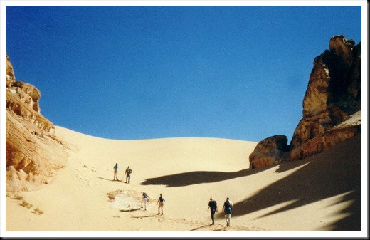 Sinai Desert