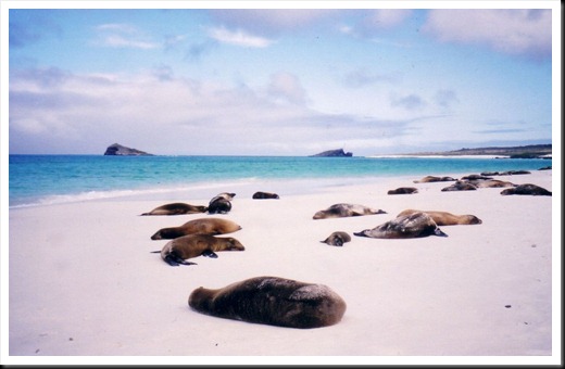 Espanola Island