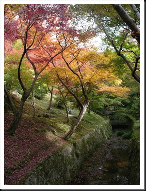 Toufukuji, Kyoto