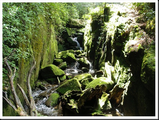 Yakushima