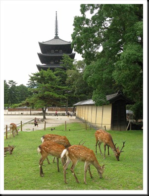 Nara